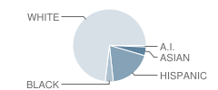 Finley Farms Elementary School Student Race Distribution