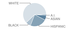 Mesquite Jr High School Student Race Distribution