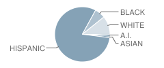 Bicentennial South School Student Race Distribution