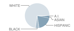 Leading Edge Academy Student Race Distribution