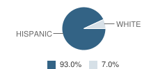 Pimeria Alta School Student Race Distribution