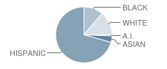 Tuscano Elementary School Student Race Distribution