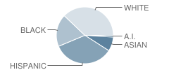 Barbara B. Robey Elementary School Student Race Distribution