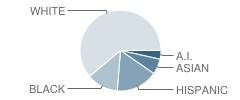 Kyrene De La Colina School Student Race Distribution