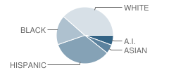 Maricopa High School Student Race Distribution