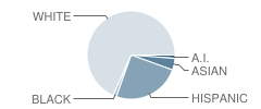 Franklin West Elementary School Student Race Distribution