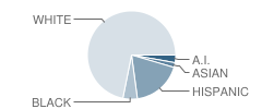 Entz Elementary School Student Race Distribution