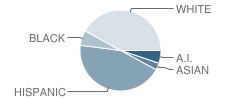 Salk Elementary School Student Race Distribution