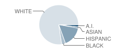 Macarthur Elementary School Student Race Distribution