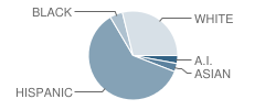 Keller Elementary School Student Race Distribution