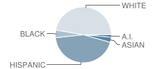 Taylor Junior High School Student Race Distribution