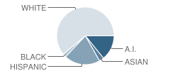 Ishikawa Elementary School Student Race Distribution