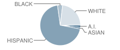 Campo Bello Elementary School Student Race Distribution