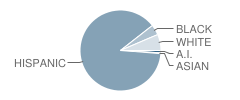 Palomino Primary School Student Race Distribution