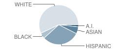 North Canyon High School Student Race Distribution