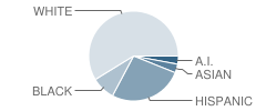 Foothills Elementary School Student Race Distribution