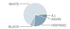 Hidden Hills Elementary School Student Race Distribution