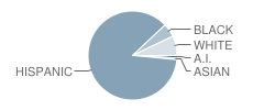 Westwind Intermediate School Student Race Distribution