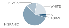 Rio Vista Elementary School Student Race Distribution