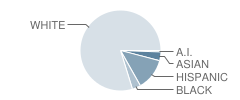 Sunrise Mountain High School Student Race Distribution