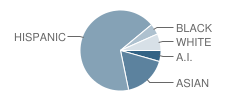 Maie Bartlett Heard School Student Race Distribution