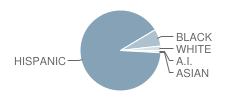 Lowell School Student Race Distribution