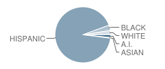 Carl Hayden High School Student Race Distribution