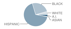 South Mountain High School Student Race Distribution