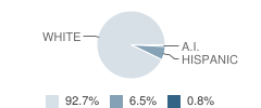 Pomerene Elementary School Student Race Distribution