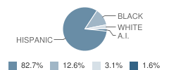 E-Cademie - Woods Campus School Student Race Distribution