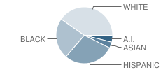 Sonoran Science Academy - Phoenix Student Race Distribution