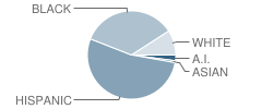 Sun Valley Charter School Student Race Distribution