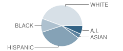 Mountain Vista Elementary School Student Race Distribution