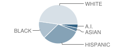 Santa Cruz Elementary School Student Race Distribution