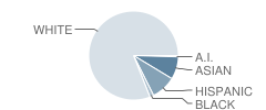 Mesa Academy for Advanced Studies Student Race Distribution