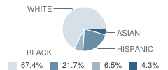 Franklin Junior High School Student Race Distribution