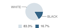 Tapbi School Student Race Distribution