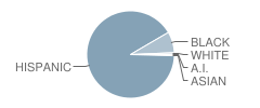 Brooks Academy Student Race Distribution