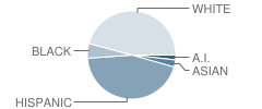 Sahuarita Intermediate School Student Race Distribution