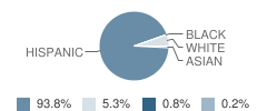 Rio Rico High School Student Race Distribution