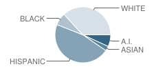 Hohokam Elementary School Student Race Distribution