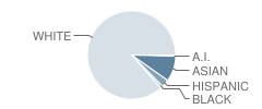 Cheyenne Traditional Elementary School Student Race Distribution