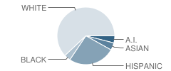 Esperanza Elementary School Student Race Distribution