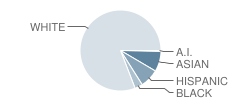 Sierra Verde Elementary School Student Race Distribution