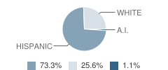 Solomon Elementary School Student Race Distribution