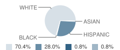 Elgin Elementary School Student Race Distribution