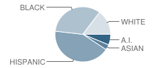 Holdeman Elementary School Student Race Distribution