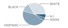 Mckemy Middle School Student Race Distribution