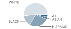 Rover Elementary School Student Race Distribution