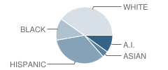 Marcos De Niza High School Student Race Distribution